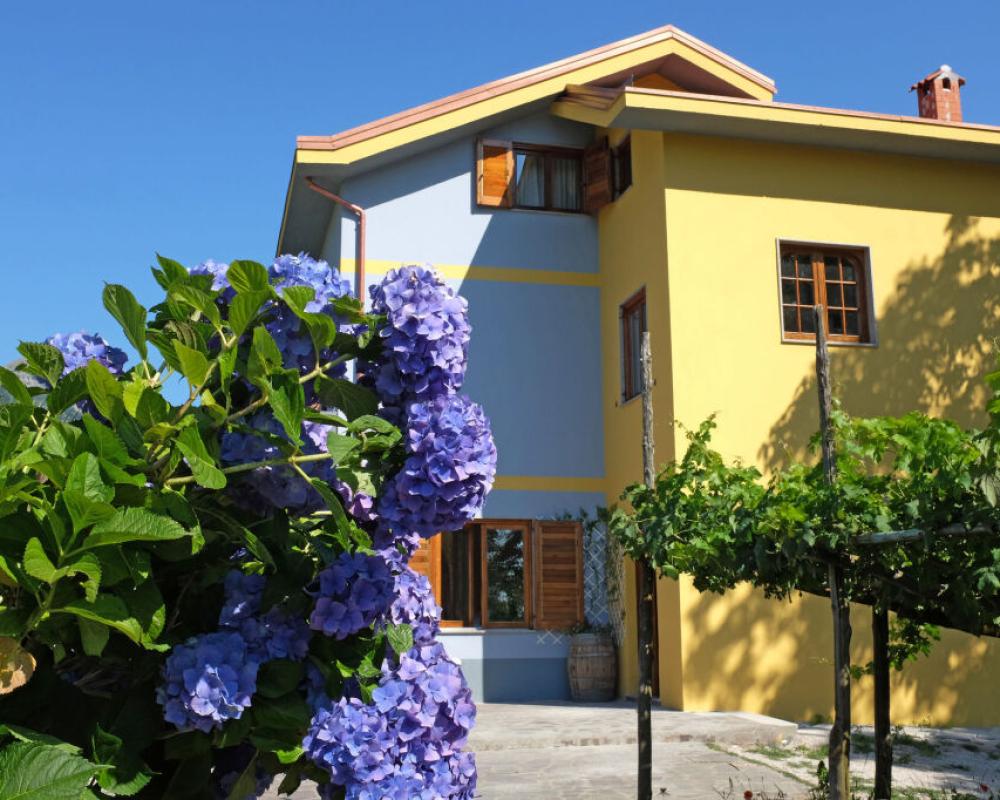 Villa Elisa
