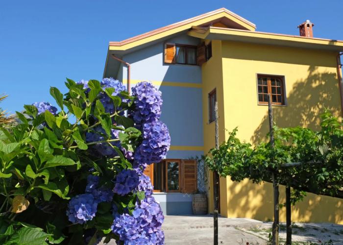 Villa Elisa