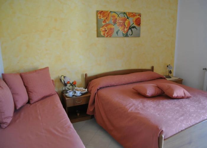 Hotel Rabbit