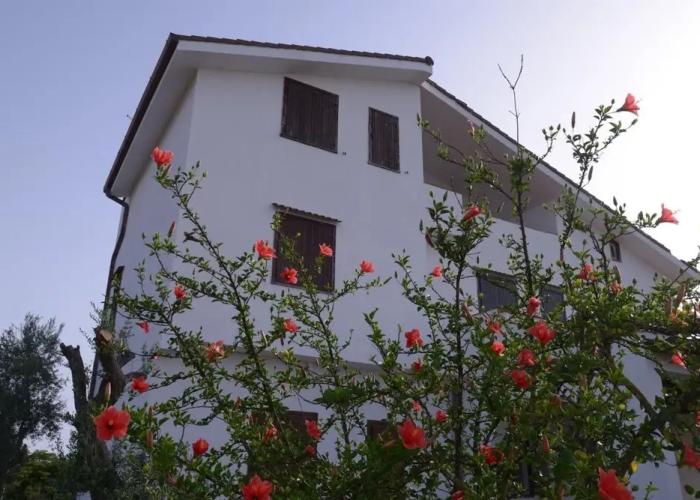 Stella dei venti