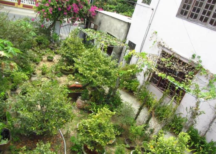Charming Homestay
