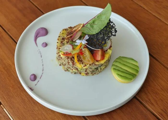 Playa Del Pacha Suites Hotel