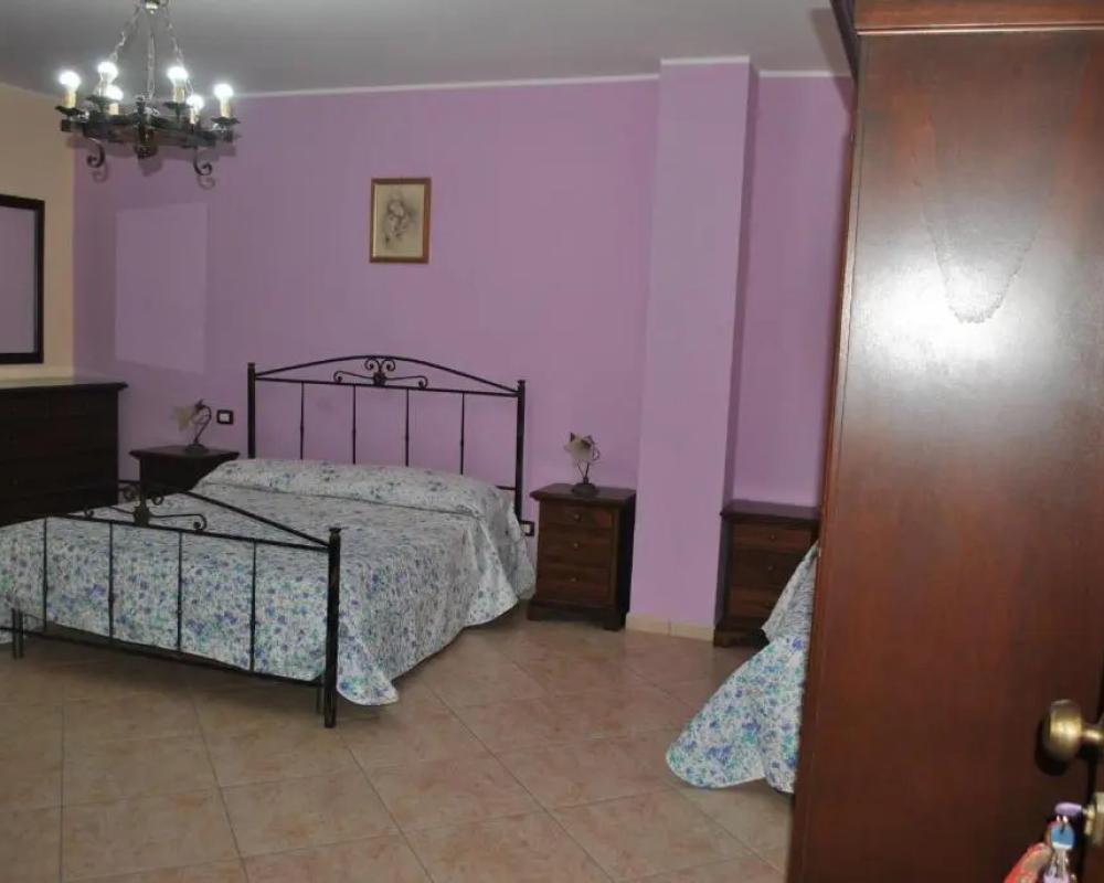 фото Ippocampo