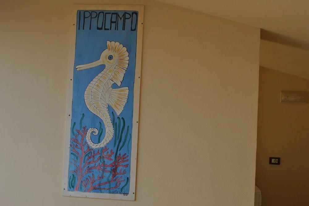 фото Ippocampo