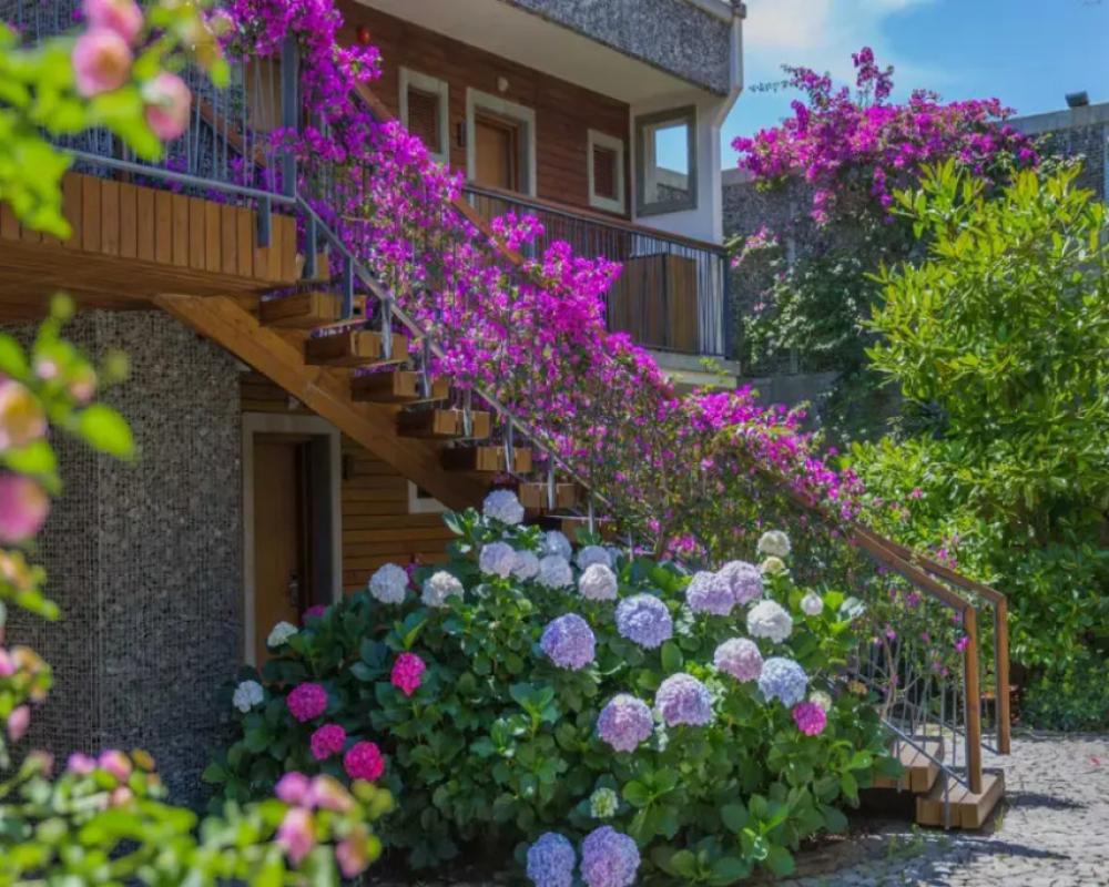 фото Costa Farilya Special Class Hotel Bodrum - Special Class