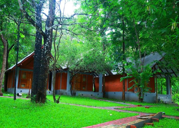 Hotel Viverra