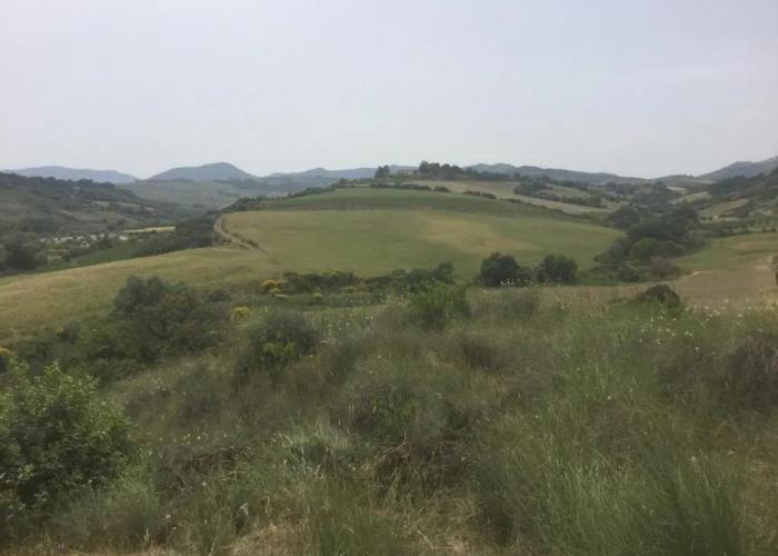Masseria Gargaleo