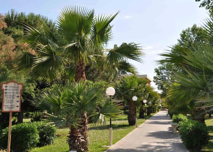 Hotel Akiris