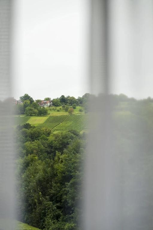 фото BASE1 Hotel Grenzblick
