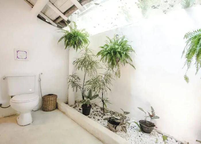 Pousada Capim Santo Trancoso