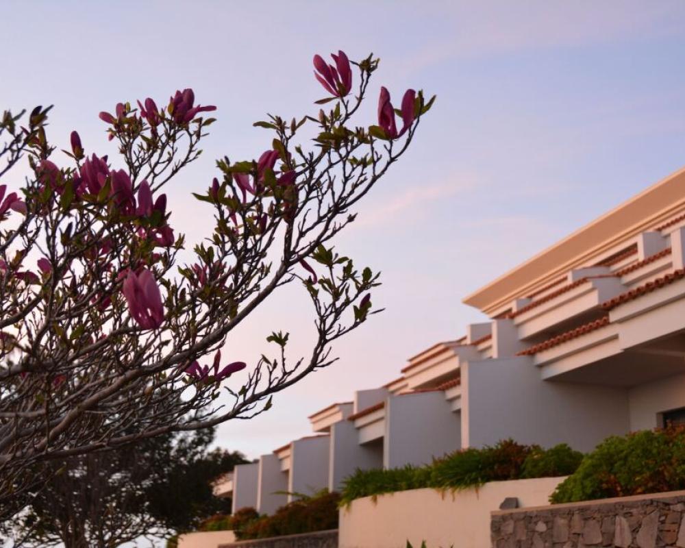 Hotel Jardim Atlantico