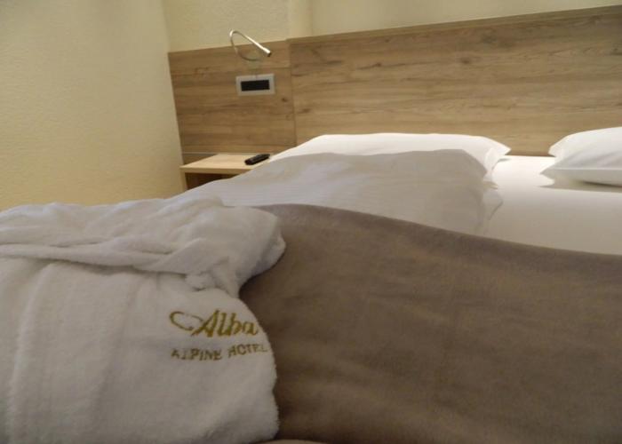 Alba Alpine Hotel