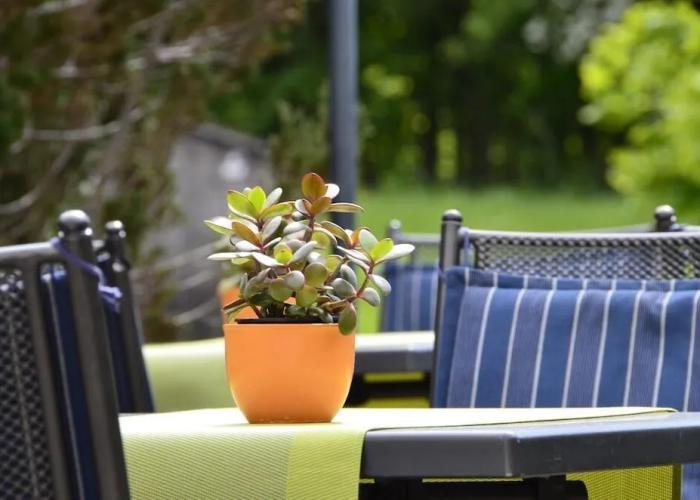 Hotel-Gasthof Am Forsthof