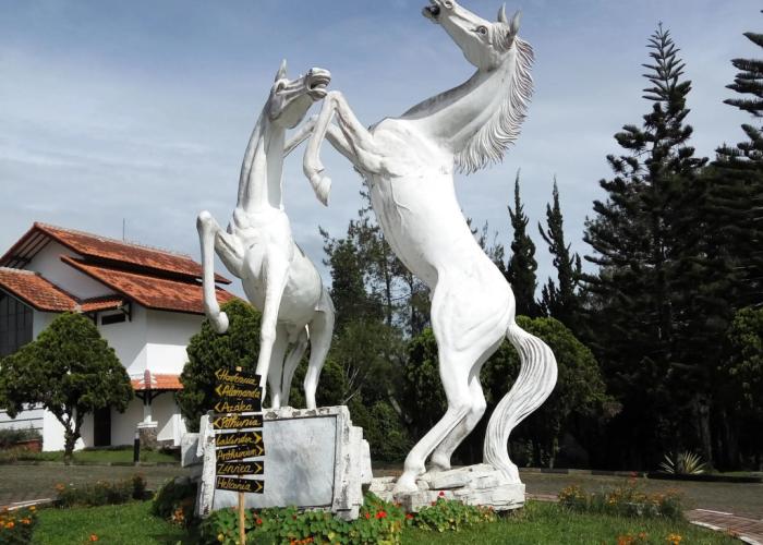 Berlian Resort