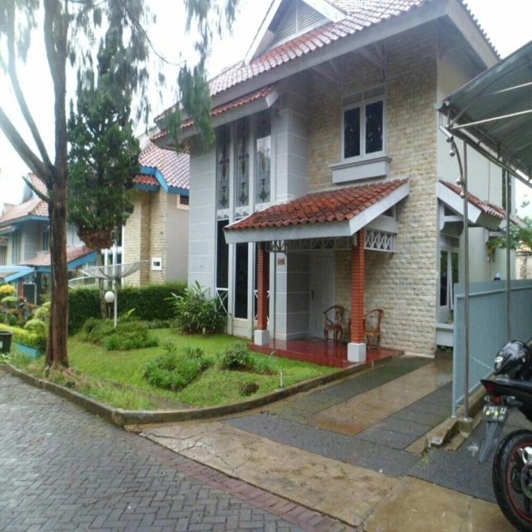 фото Kota Bunga B