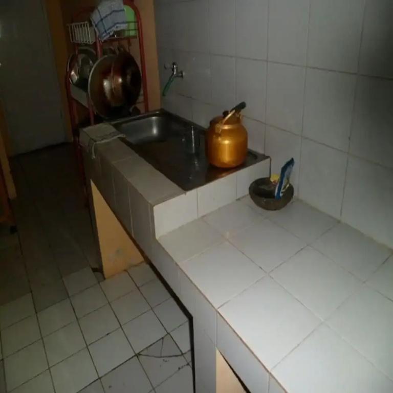 фото Kota Bunga B
