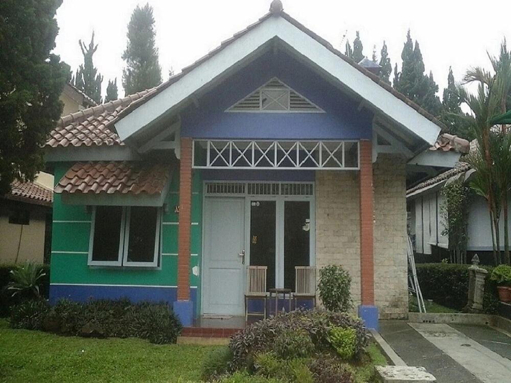 фото Kota Bunga A