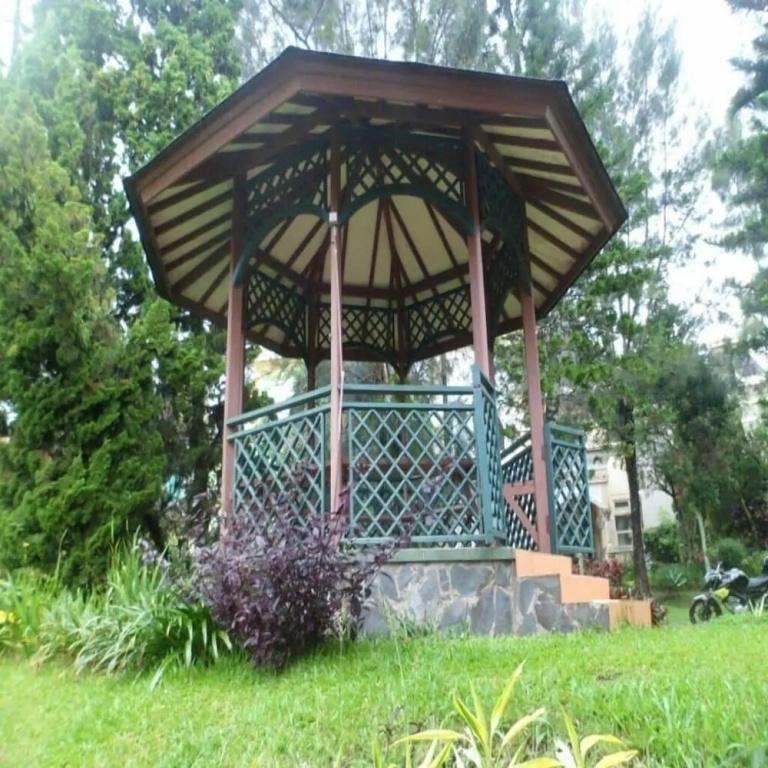 фото Kota Bunga AA
