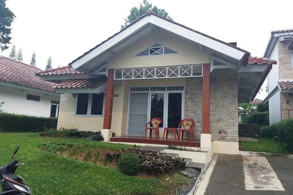 фото Kota Bunga D