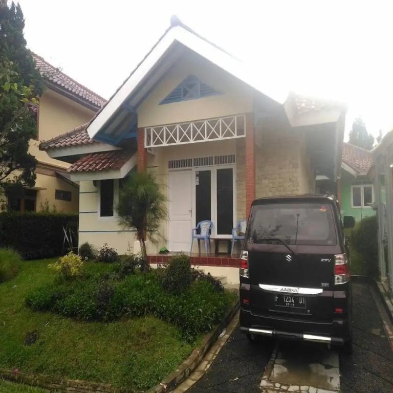 фото Kota Bunga D