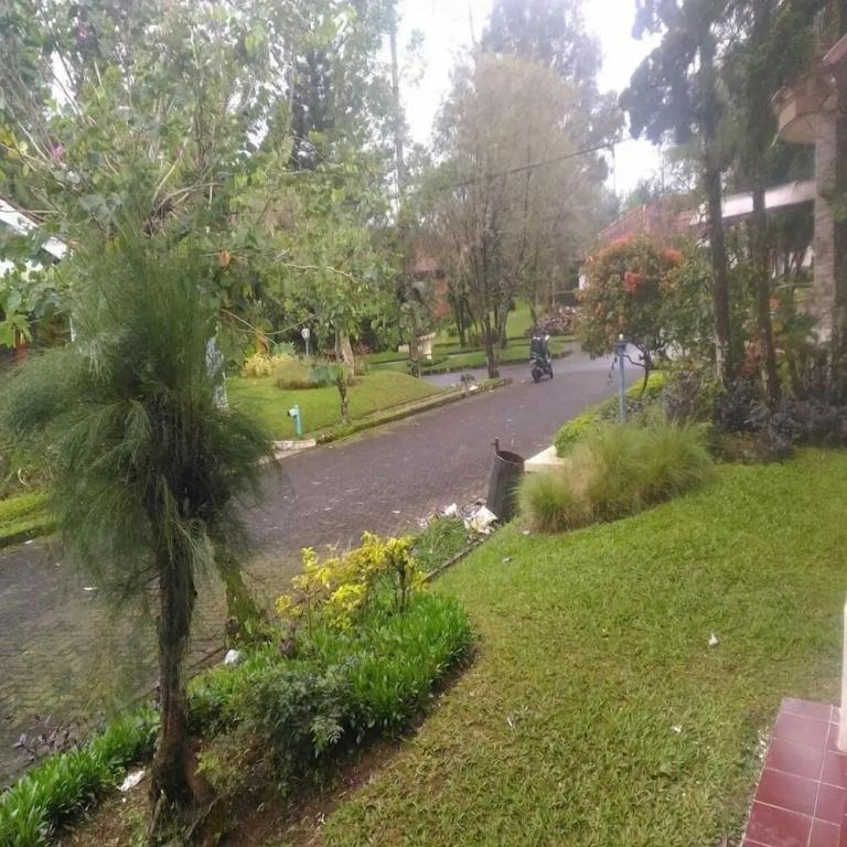 фото Kota Bunga D