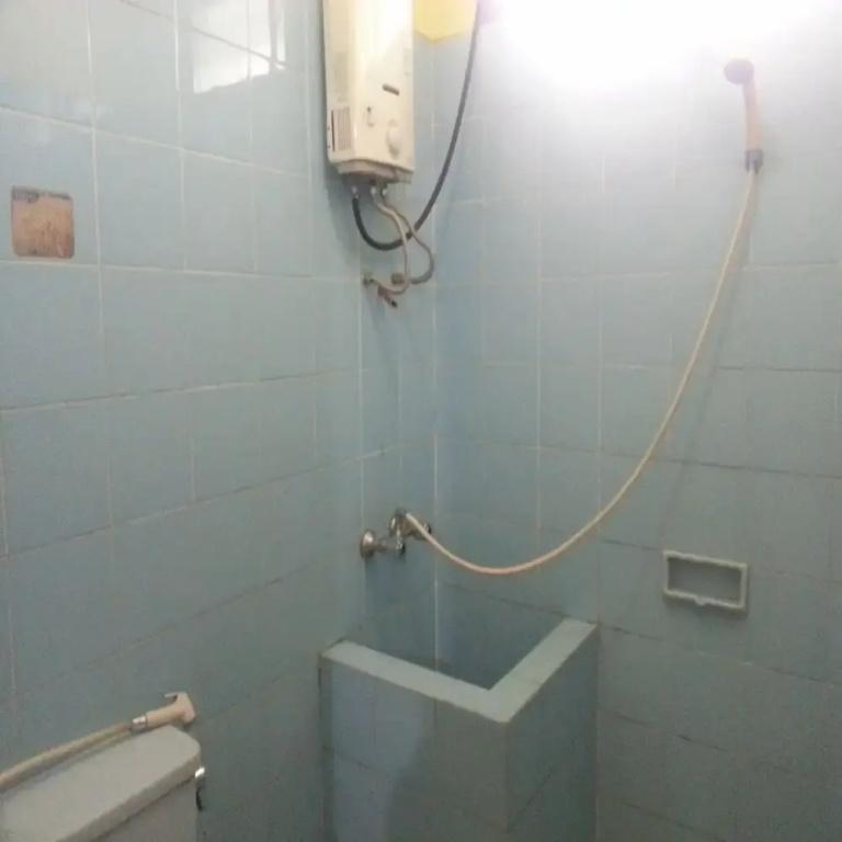 фото Kota Bunga D