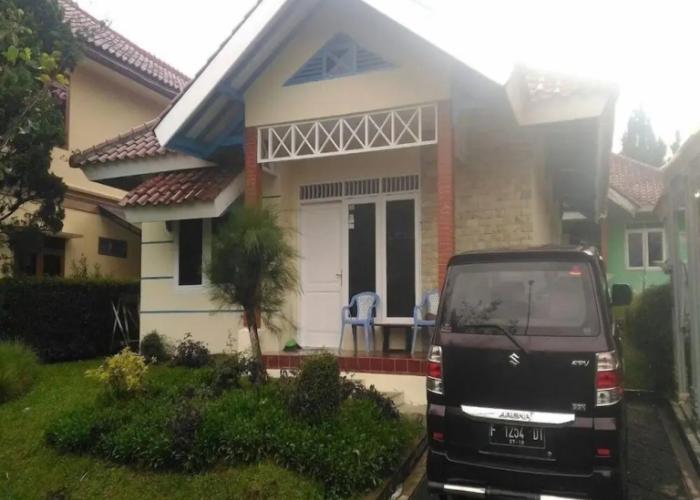 Kota Bunga D