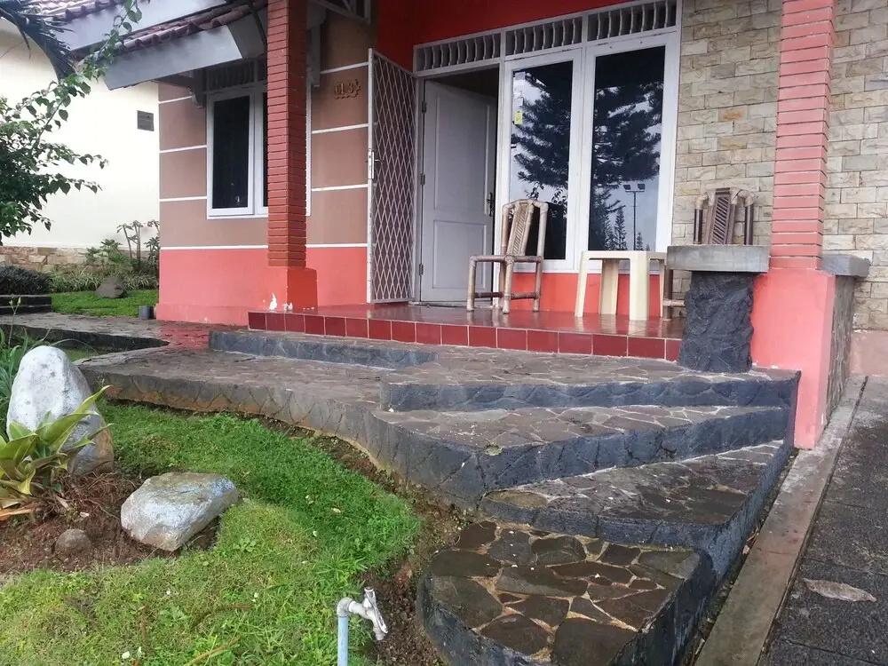 фото Kota Bunga C