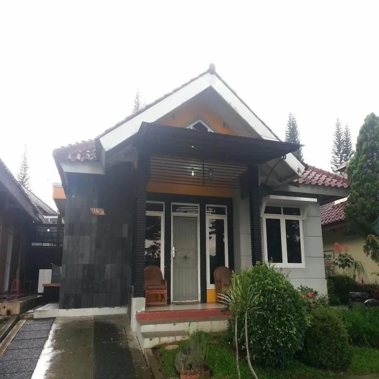 фото Kota Bunga C