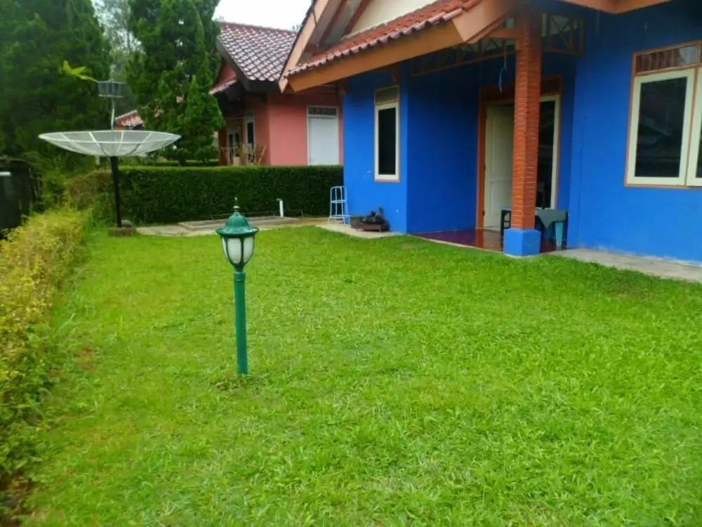 фото Kota Bunga E