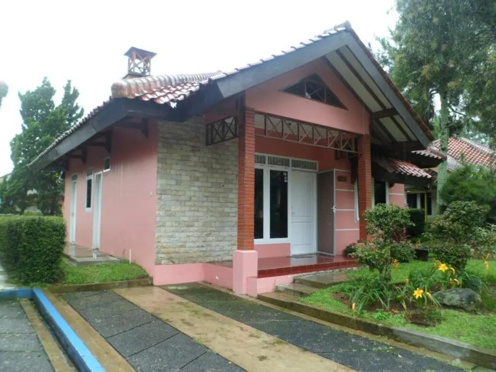 фото Kota Bunga E