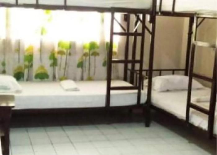 Bamboo Garden Business Inn