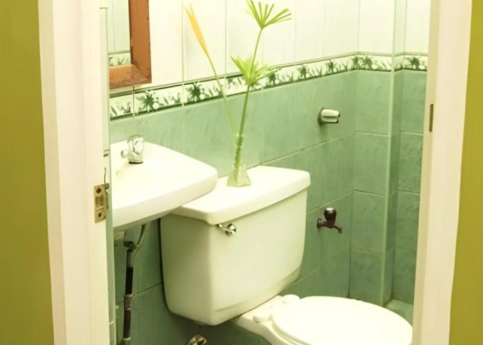 Bamboo Garden Business Inn