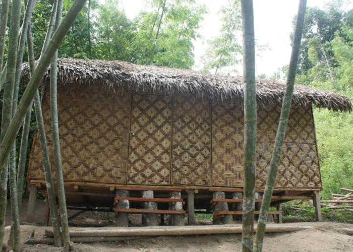 Rain Forest Inn