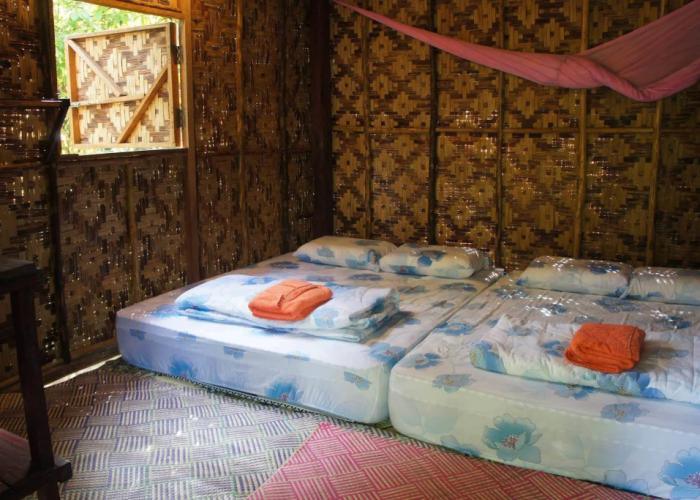 Rain Forest Inn