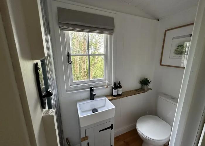 Cornwall Woodland Dog Friendly Shepherd's Hut