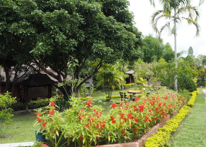 Ban Rai Tin Thai Ngarm Eco Lodge