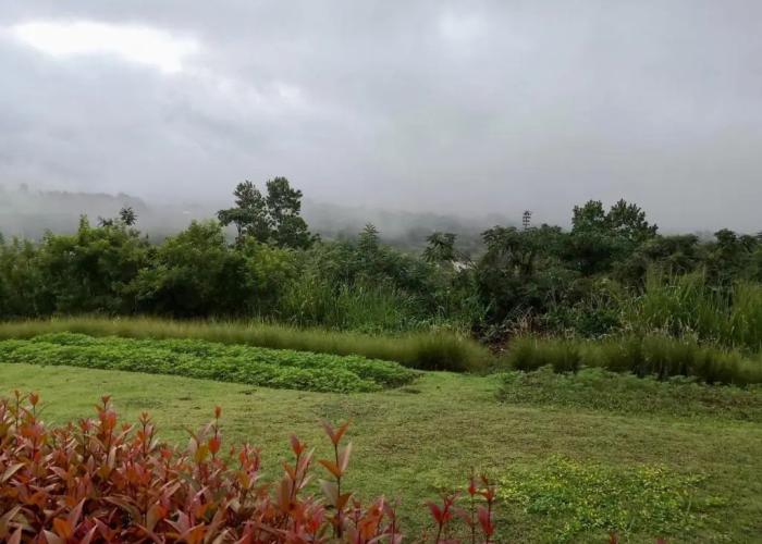 Phuyafahsai The Resort Khao Kho