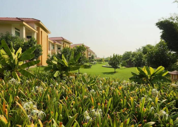 Resort De Coracao