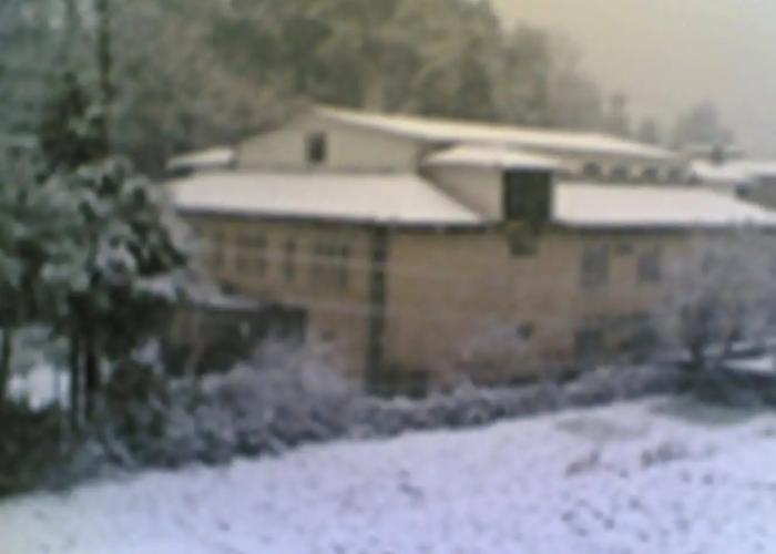 OYO 10959 Hotel Langdale Manor