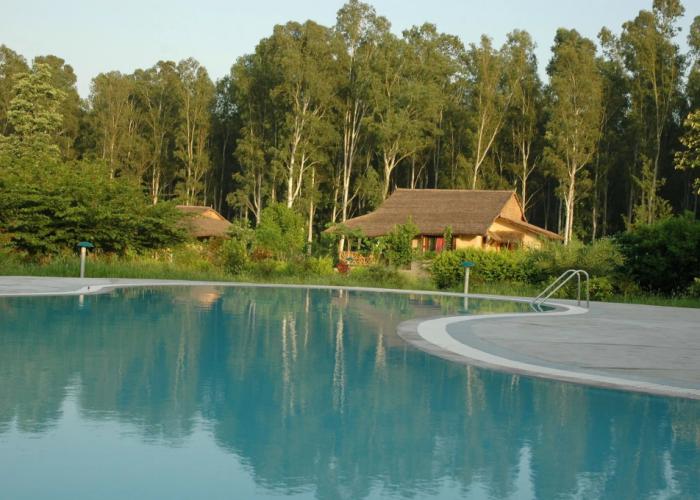 Jim's Jungle Retreat