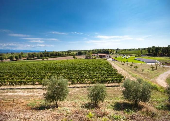 Cobue Wine Resort & SPA