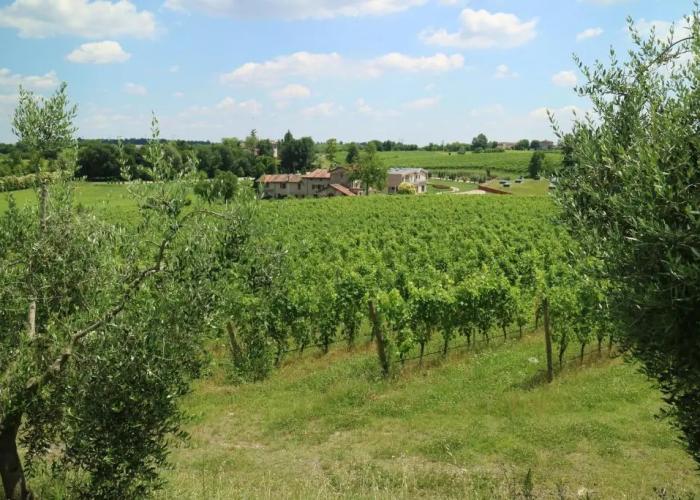 Cobue Wine Resort & SPA