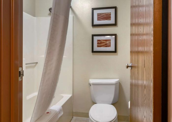 Comfort Inn Bozeman near University