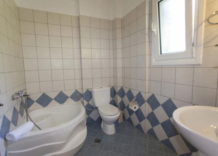 Oasis Exclusive