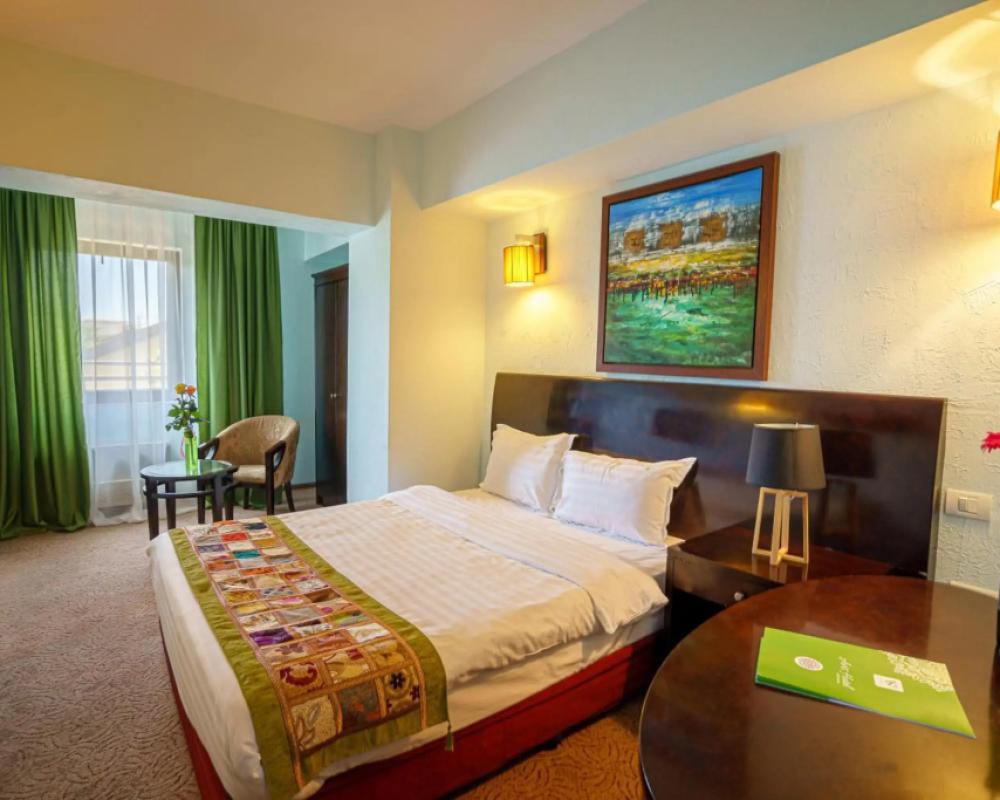 фото Hotel Avis