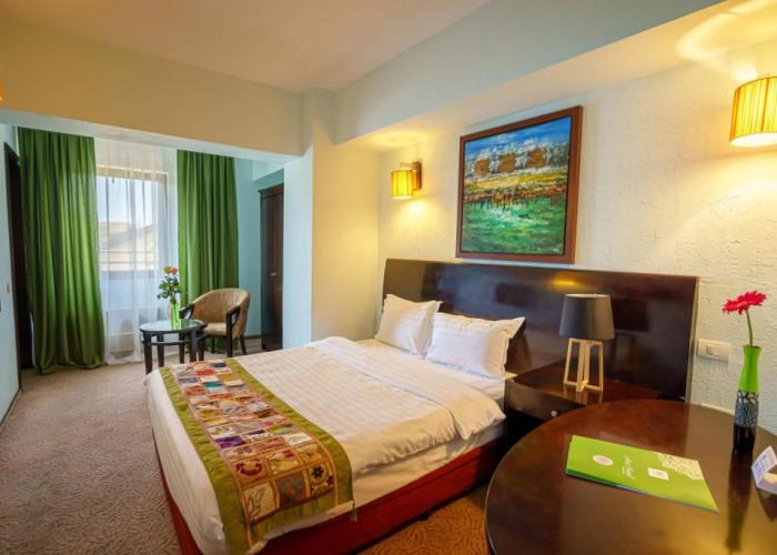 Hotel Avis