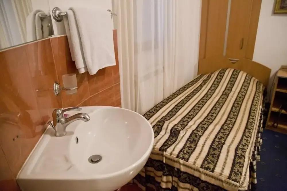 фото Hotel Carpati