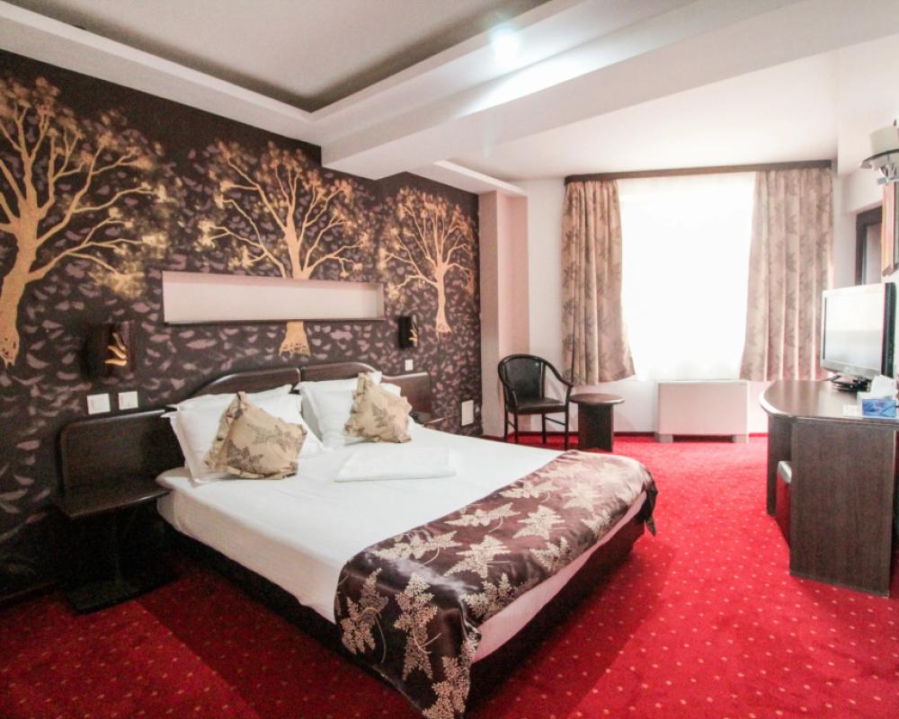 фото Hotel Razvan