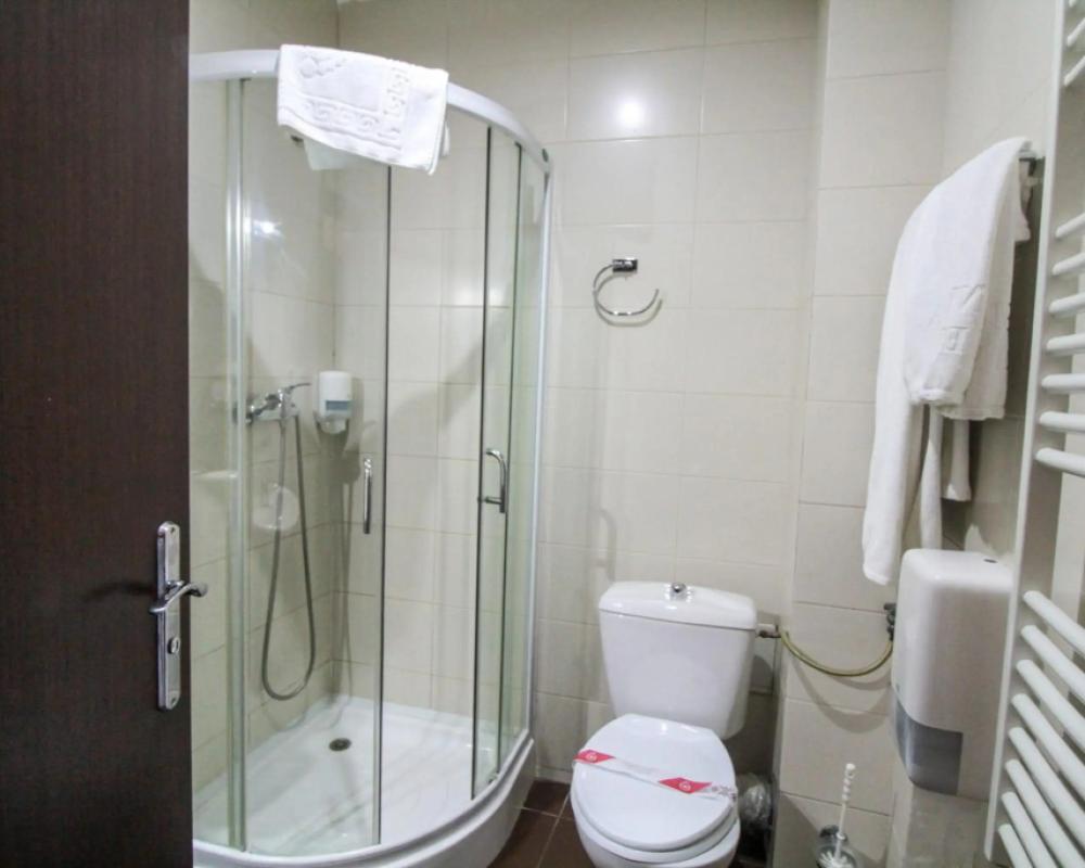 фото Hotel Razvan